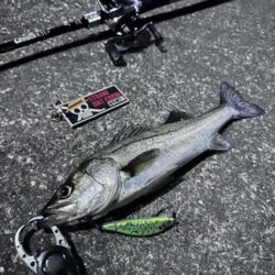 寒くても激渋でも釣れる魚が小さくても頑張るのみ！