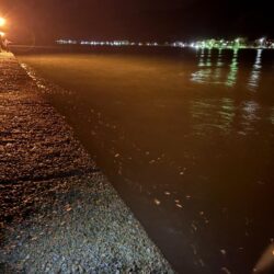 冬アジング釣査