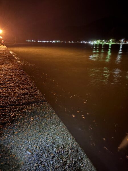 冬アジング釣査