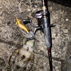 まだまだ小さい