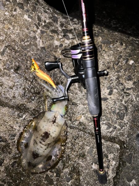 まだまだ小さい