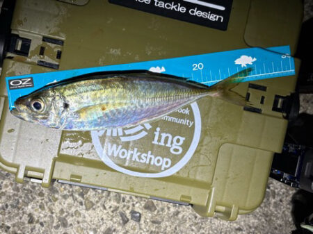 やっぱりこのサイズ楽しい