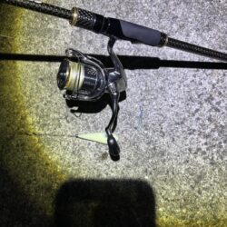 フロートアジング　40㎝サバ