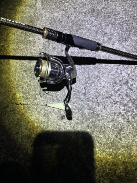 フロートアジング　40㎝サバ