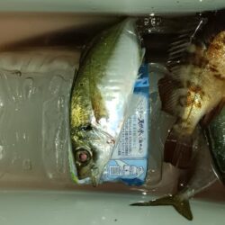 全然ダメでした