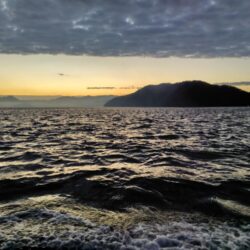 ショアジギング