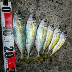 尺まで後ちょっと