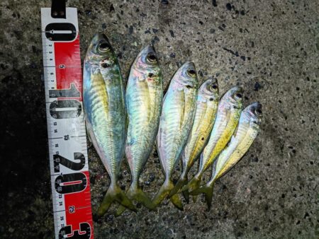 尺まで後ちょっと