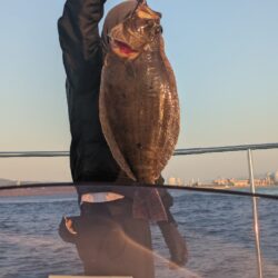 ヒラメ＆コウイカ