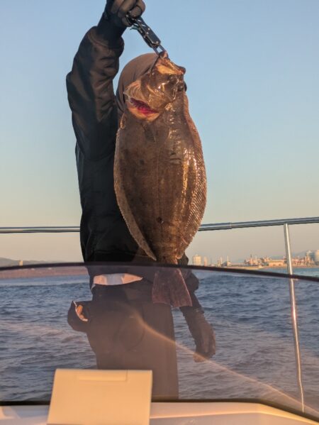 ヒラメ＆コウイカ