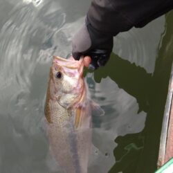 津久井湖初ボート