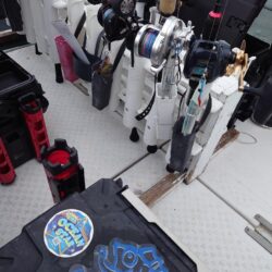 釣り納めはメジロ２匹