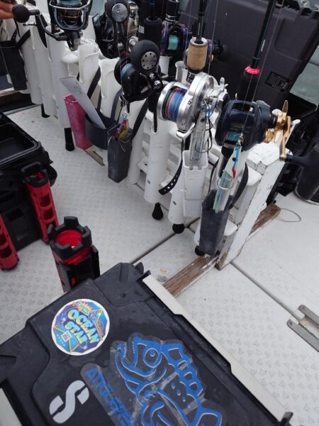 釣り納めはメジロ２匹