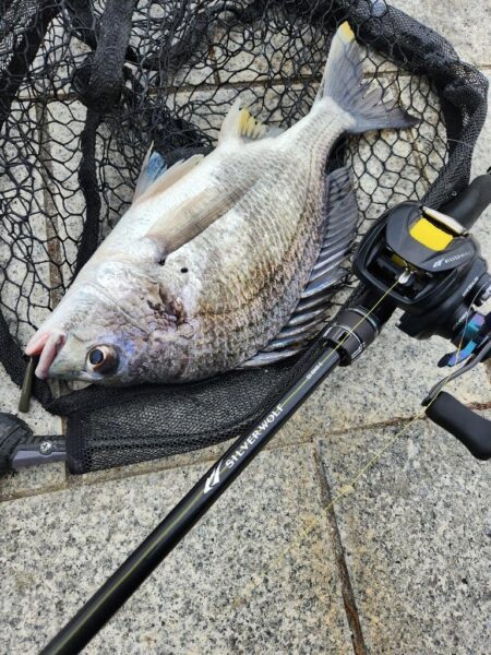 年末冬チニング