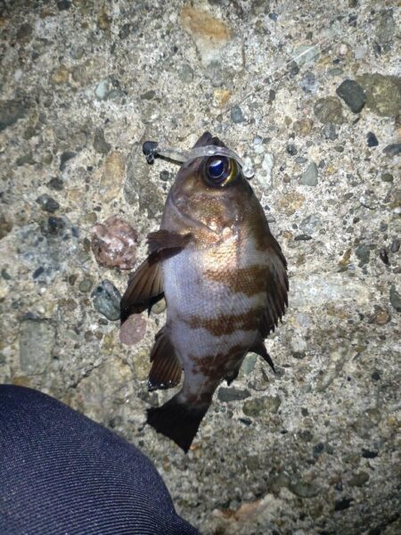 ライトゲームのはずが…