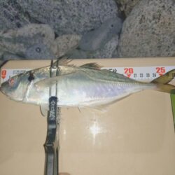 シブい日は粘り釣行