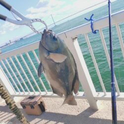 久しぶりのカゴ釣り