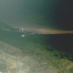 ２週間ぶりの淡路島🎣