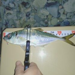 フロートアジング新場所調査