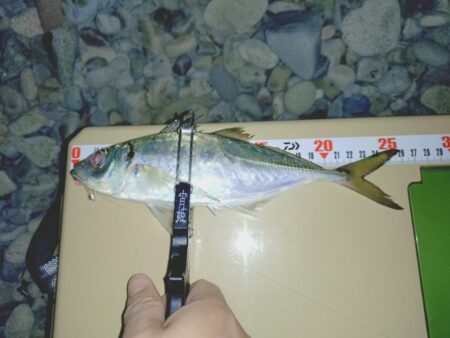 フロートアジング新場所調査