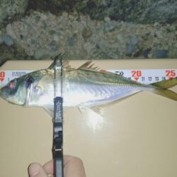 2025年フロートアジング納め