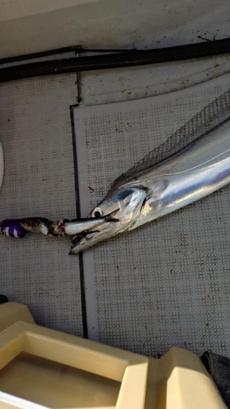 瀬戸内海船タチウオ(初)