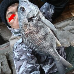 四魚種釣れました!