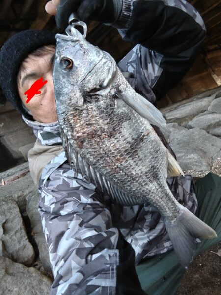 四魚種釣れました!