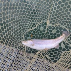 恒例の年末忘年釣行!