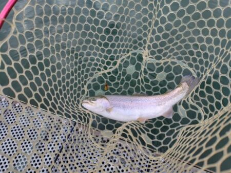 恒例の年末忘年釣行!