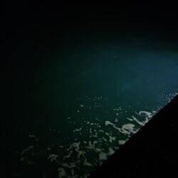 とりあえずアオリ13回目