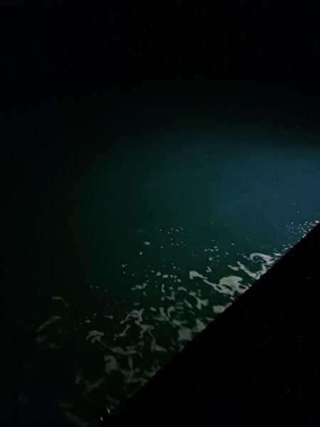 とりあえずアオリ13回目