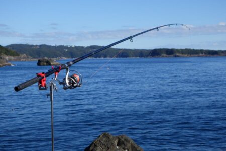 一年ぶりの投稿です