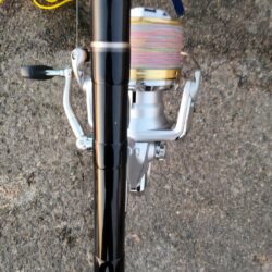 カレイシーズン2