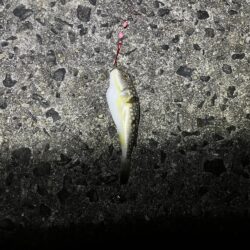 アジュール舞子埋蔵金レベル１