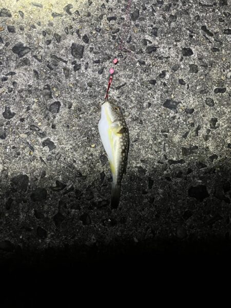 アジュール舞子埋蔵金レベル１