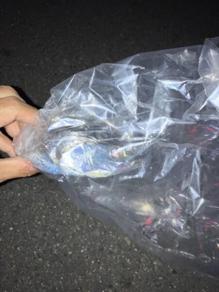 白杉ライトショアジギング