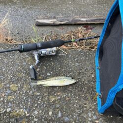 続 湖西漁港小バス祭り