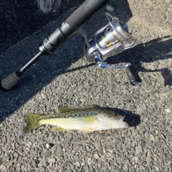 湖西ランガン続