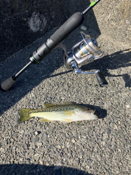 湖西ランガン続