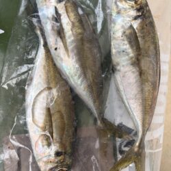 釣り納まらず…