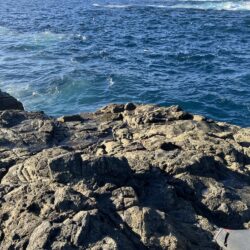 沖磯でフカセ釣り