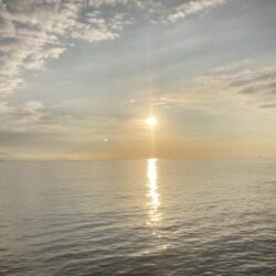 デジタルデトックス釣行