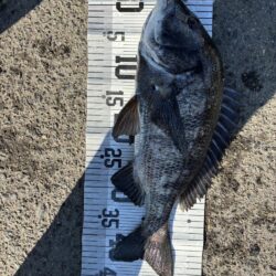 イチノ兄弟、釣果！