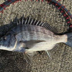 イチノ兄弟、釣果!