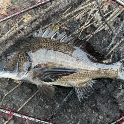 イチノ兄弟、釣果！