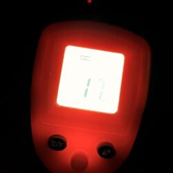 久しぶりのタコ釣り