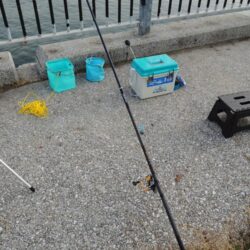 アジは何処に？