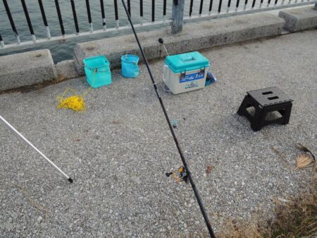 アジは何処に？