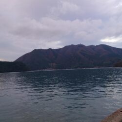 渋い季節になって来た